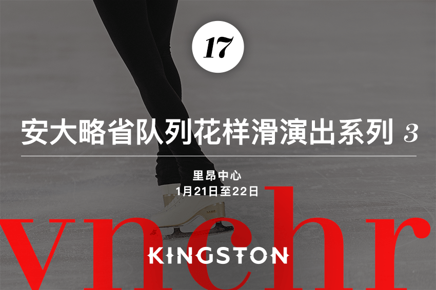 17. 安大略省队列花样滑演出系列3