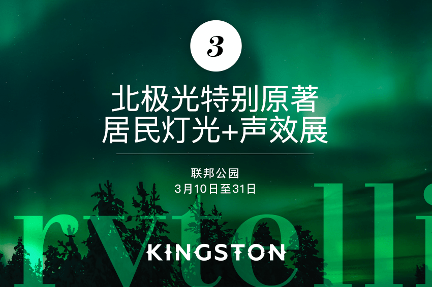 3. 北极光特别原著居民灯光+声效展
