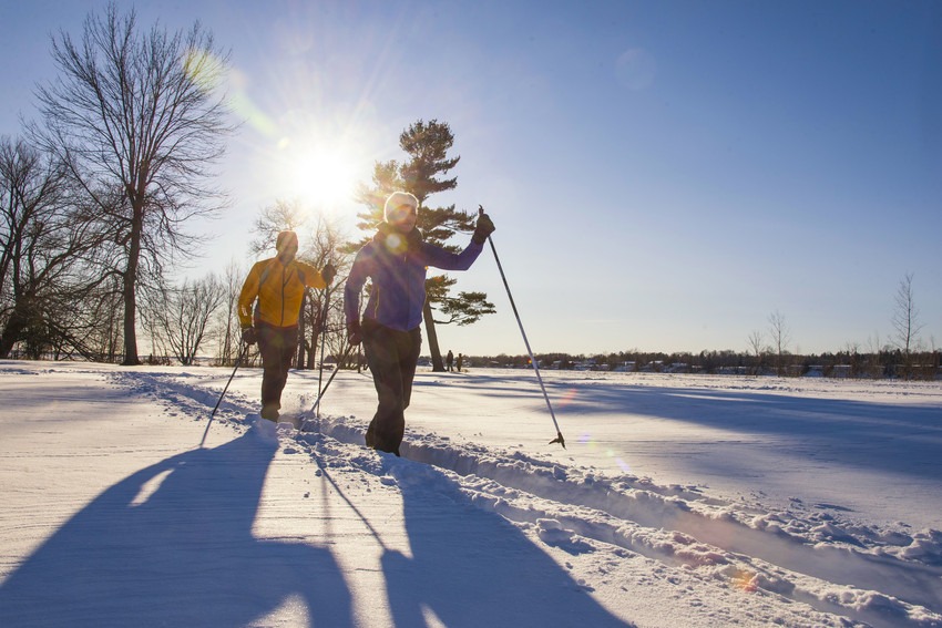 Cross-country Skiing