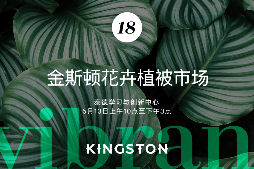 金斯顿花卉植被市场