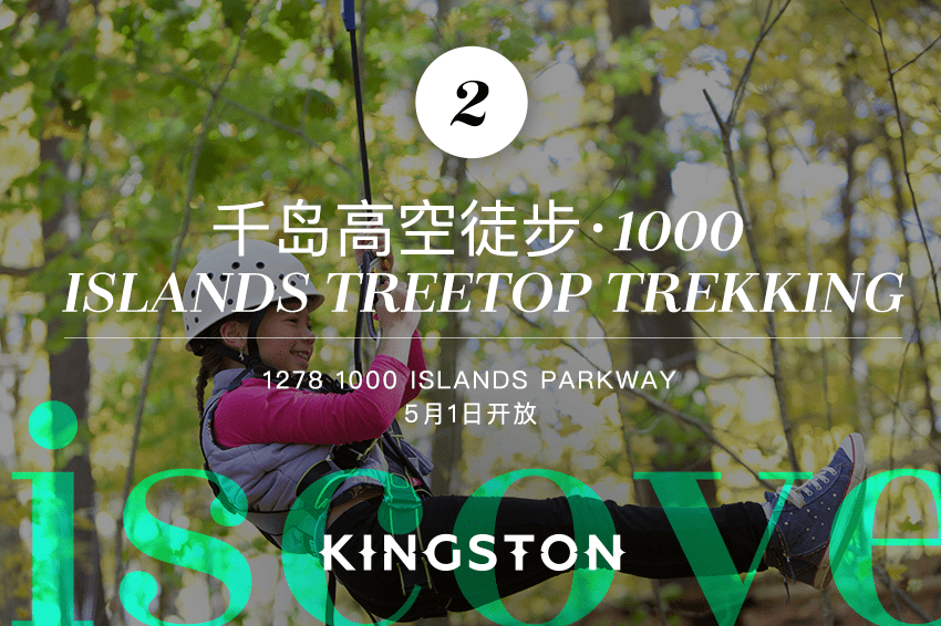 千岛高空徒步· 1000 Islands Treetop Trekking