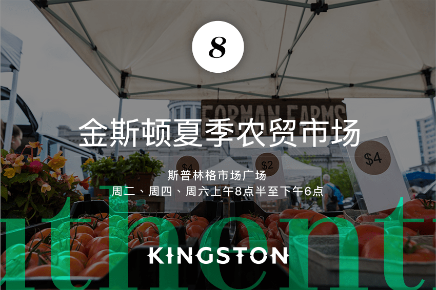 金斯顿夏季农贸市场