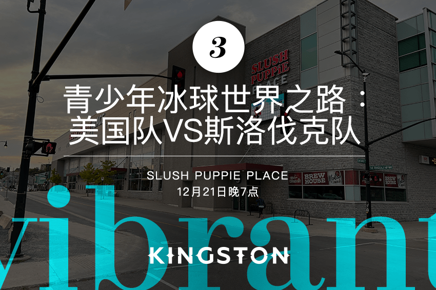 3. 青少年冰球世界之路：美国队vs斯洛伐克队