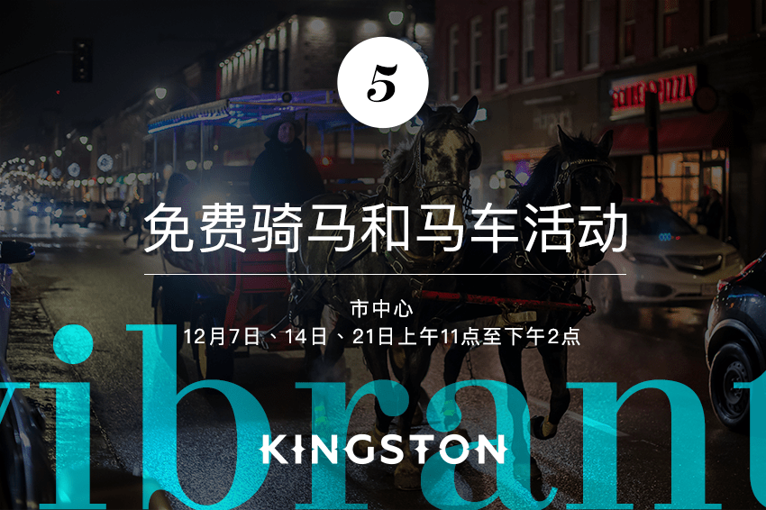 5. 免费骑马和马车活动
