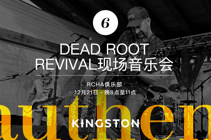 6. Dead Root Revival现场音乐会