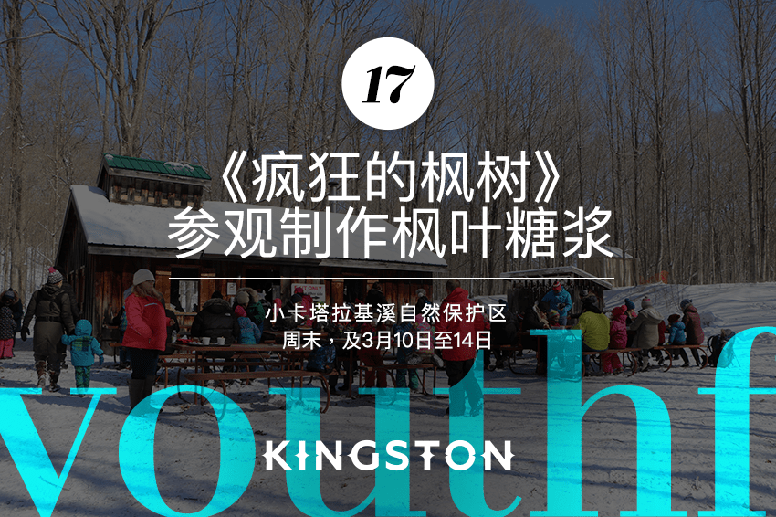 17. 《疯狂的枫树》参观制作枫叶糖浆