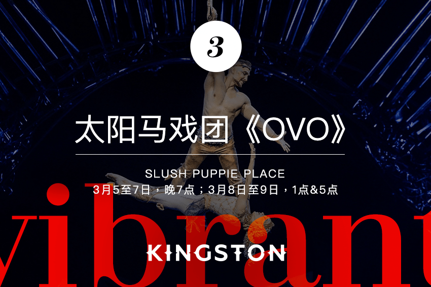 3. 太阳马戏团《OVO》