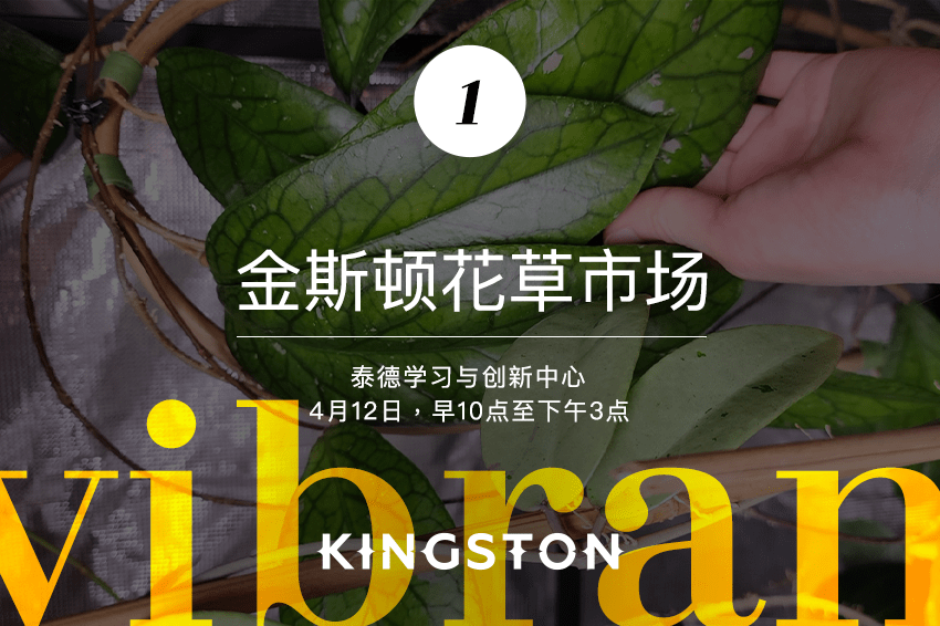 1. 金斯顿花草市场