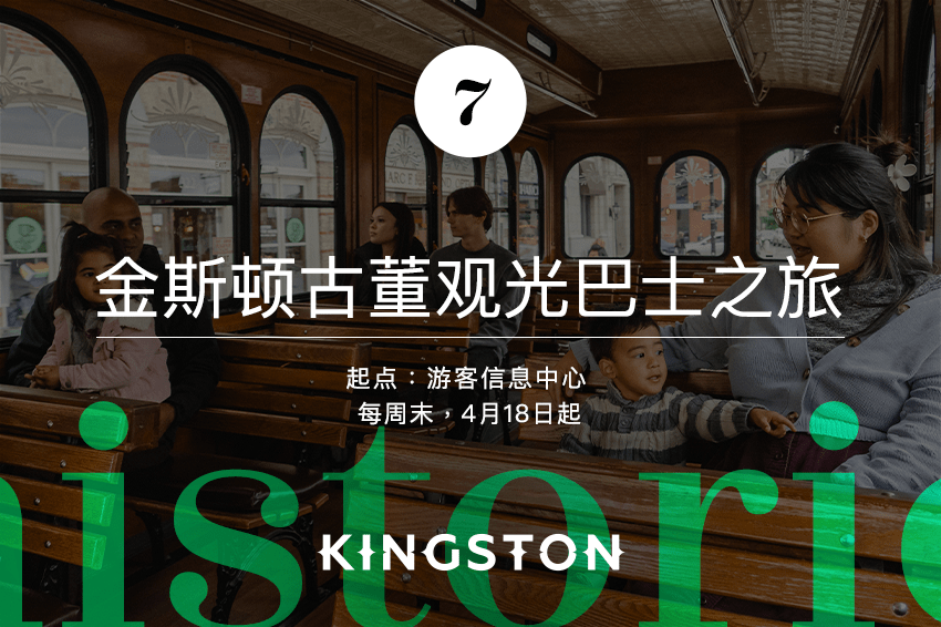 7. 金斯顿古董观光巴士之旅