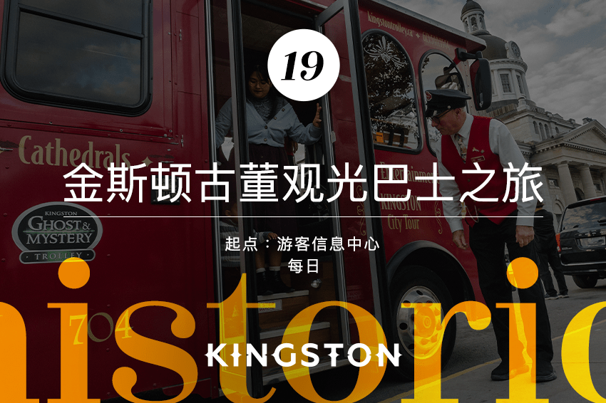 19. 金斯顿古董观光巴士之旅