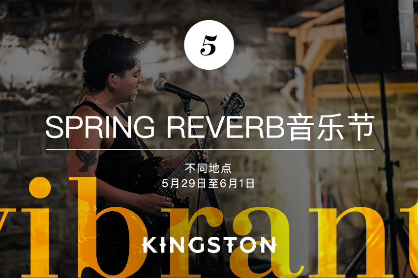5. Spring Reverb音乐节
