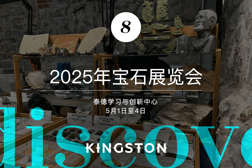 8. 2025年宝石展览会