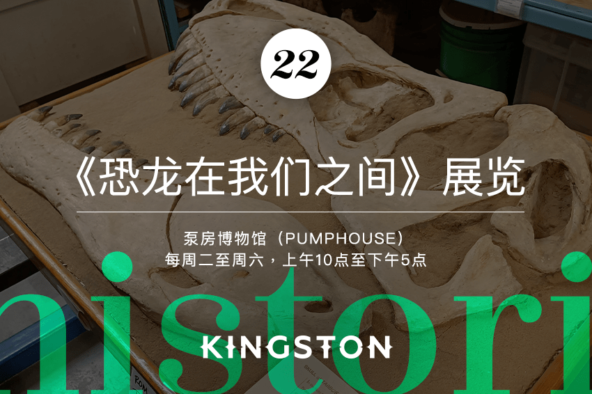 22. 《恐龙在我们之间》展览