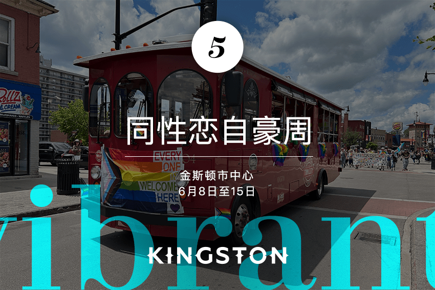 5. 同性恋自豪周